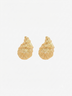 Gold Seashell Stud Earrings