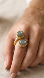 Labradorite Gold Open Ring