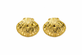 Gold Plated Shell Stud Earrings