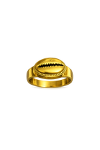 Minimalist Gold Shell Signet Ring for Women