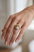 Dolphin Wrap Ring in Gold Finish