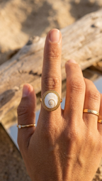 Gold Shiva Eye Shell Ring for Women