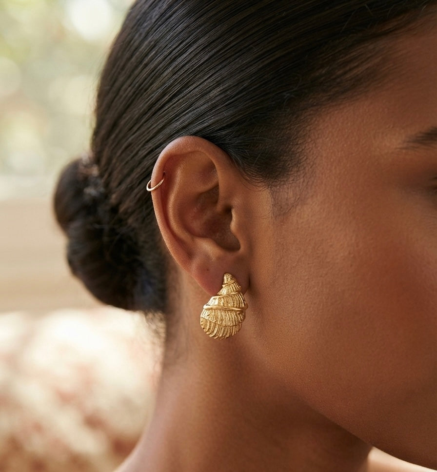 Gold Seashell Stud Earrings